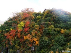 八海山、紅葉見頃