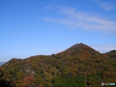 里山の紅葉