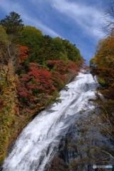 栃木県の魅力発信④