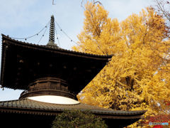 鑁阿寺、多宝塔