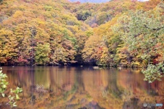 曲沢沼② 曲沢沼②