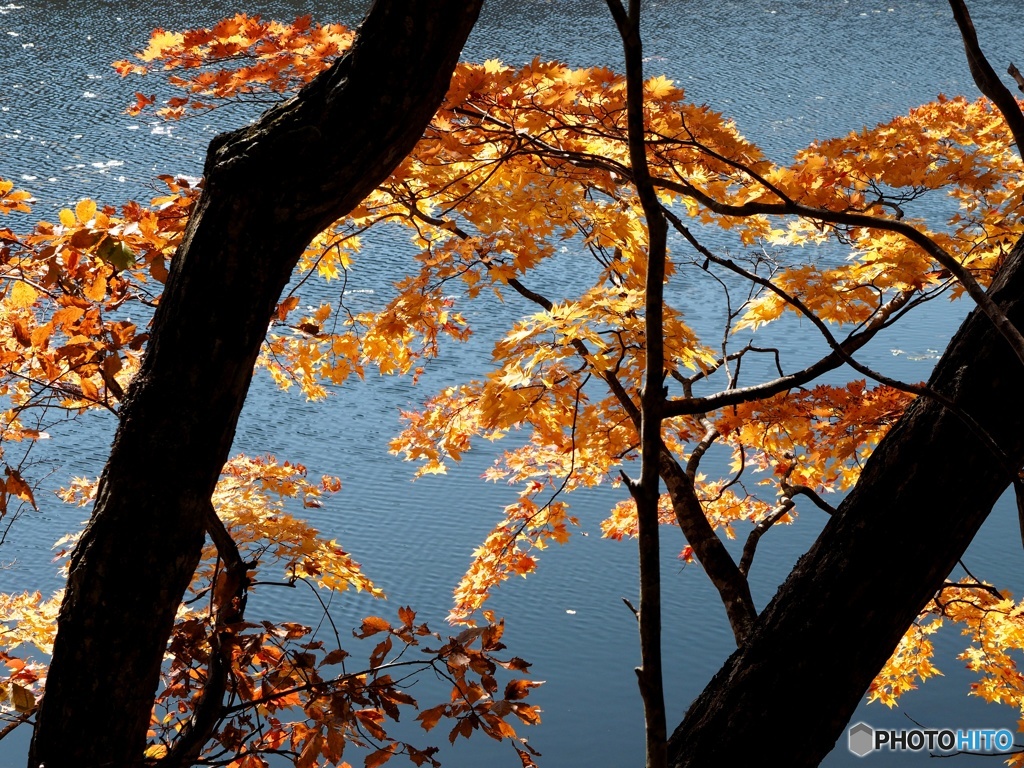 観音沼森林公園④