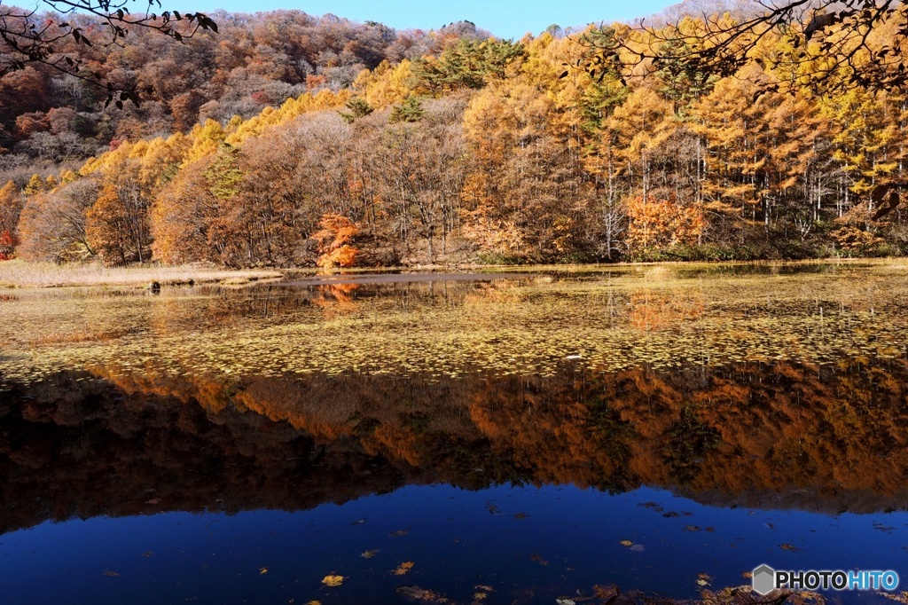 大峰沼