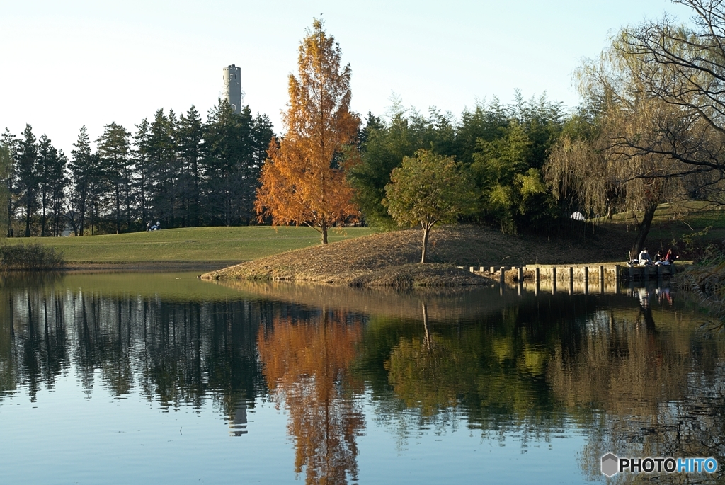 穏やかな午後②