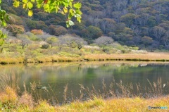 覚満淵④ 覚満淵④