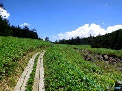 登山道①