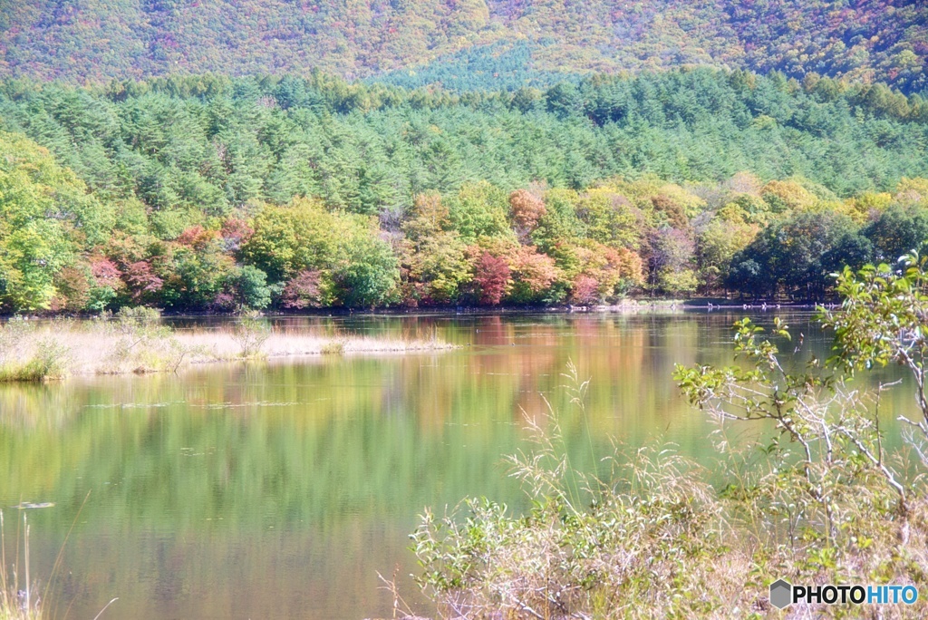 観音沼森林公園