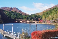 碓氷湖②