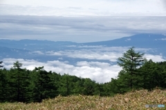 雲海