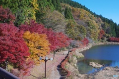 碓氷湖⑤