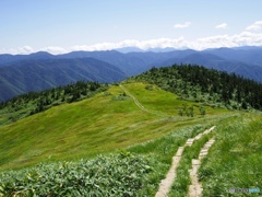 登ってきました