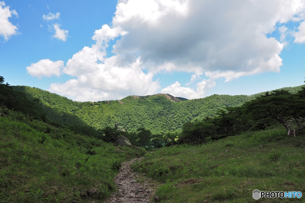 登山道を行く