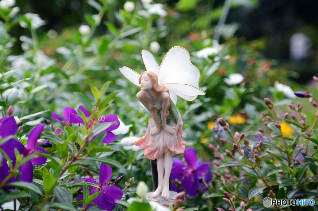 妖精発見（栃木わんぱく公園）