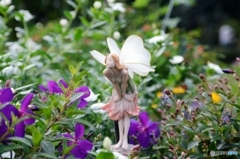 妖精発見（栃木わんぱく公園）