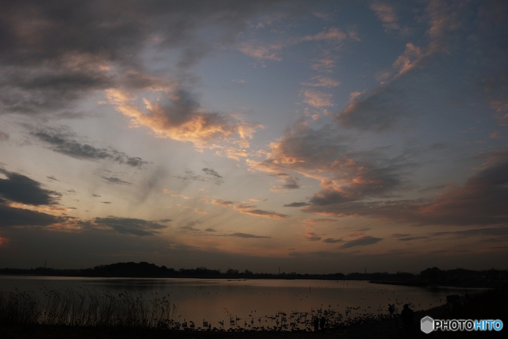 多々良沼（夕景）