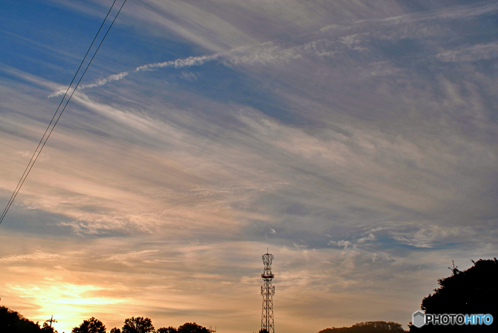 2020/10/18/朝の光