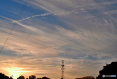 2020/10/18/朝の光