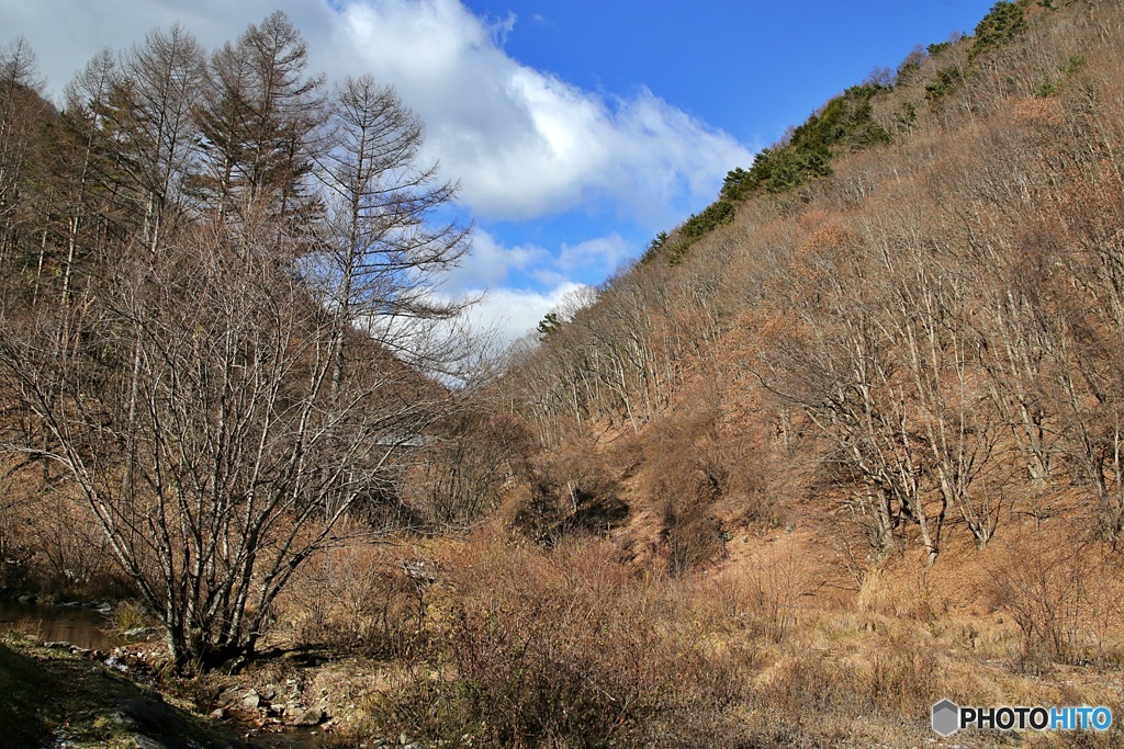 晩秋の渓谷