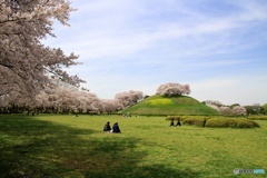 さきたま古墳公園⑦