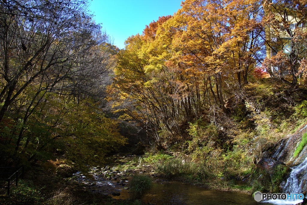 南相木村の秋③