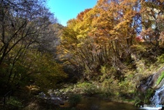 南相木村の秋③
