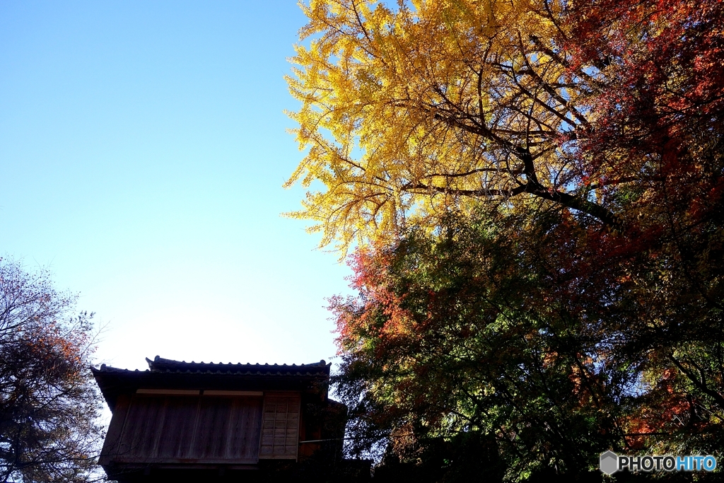 行道山浄因寺