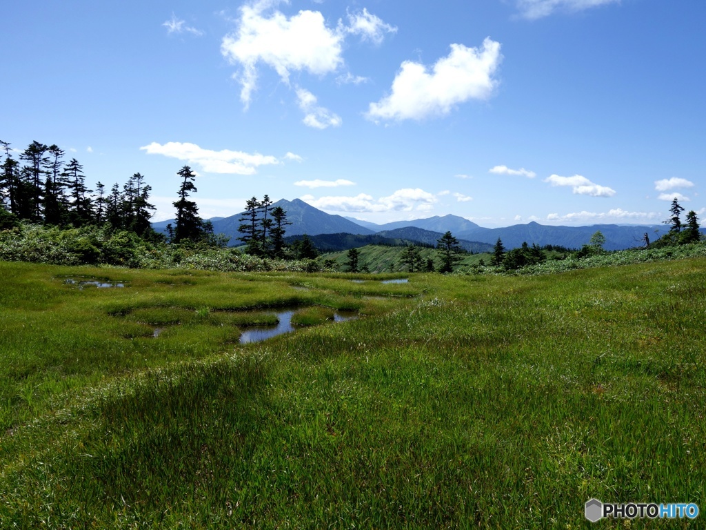 湿原と燧ヶ岳