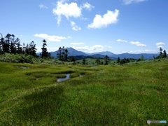 湿原と燧ヶ岳