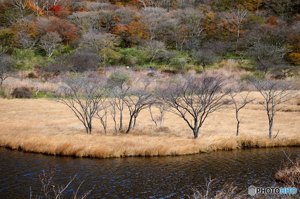 赤城山覚満渕
