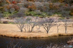 赤城山覚満渕