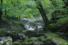 宮川渓谷③