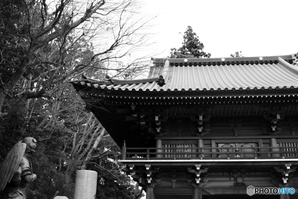 薬王院、山門
