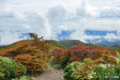 中の大倉尾根