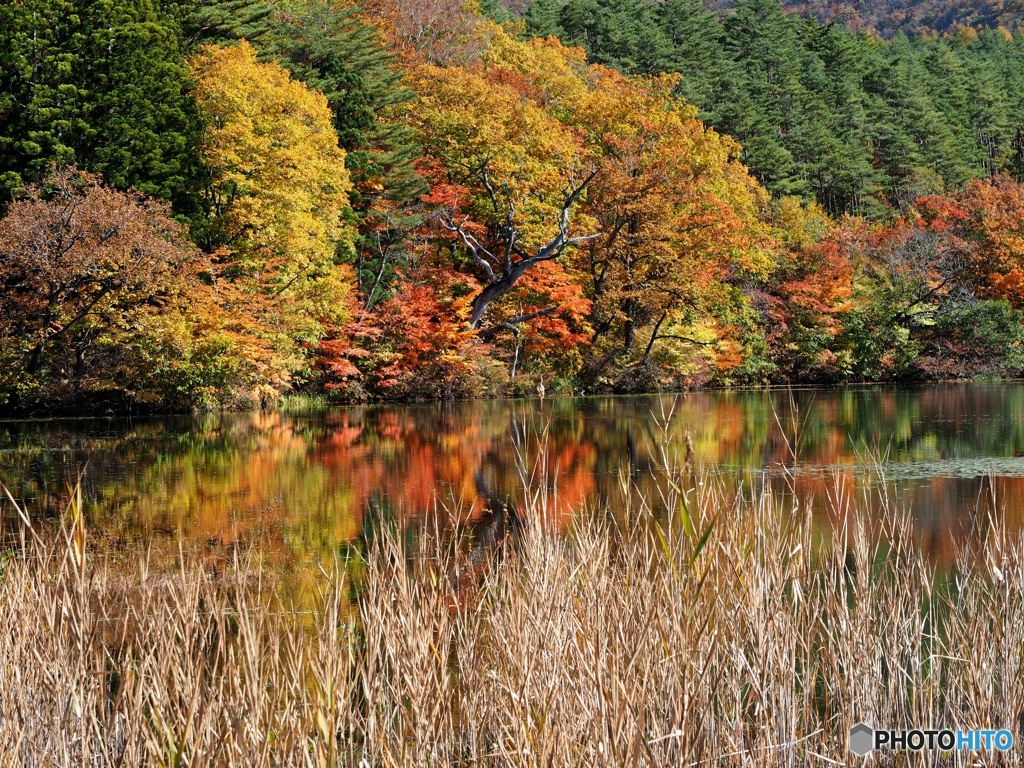 観音沼森林公園③