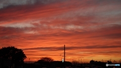 2021/11/19ゆうやけ