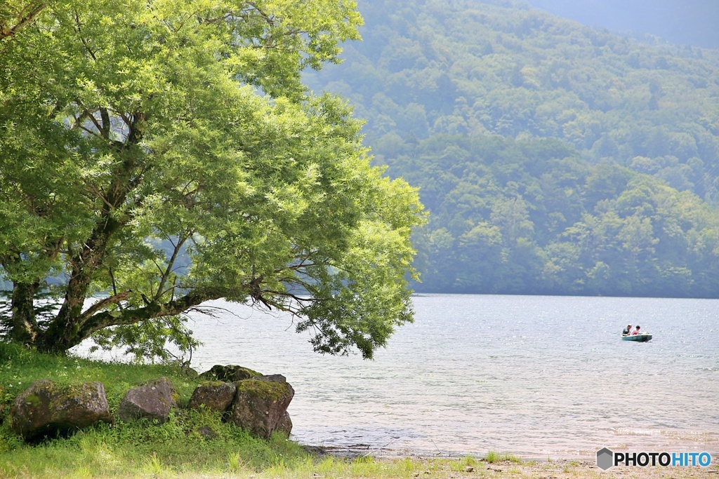 涼を求めて尾瀬丸沼