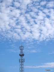 ひつじ雲