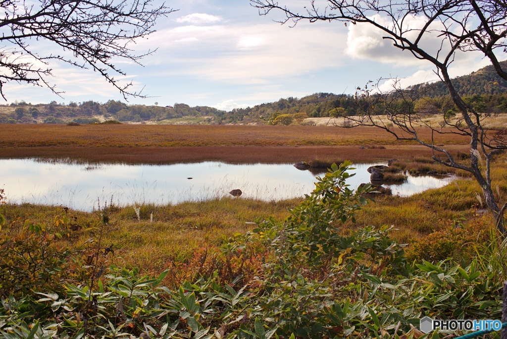 鎌ヶ池（八島湿原）