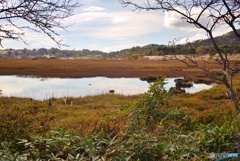 鎌ヶ池（八島湿原）