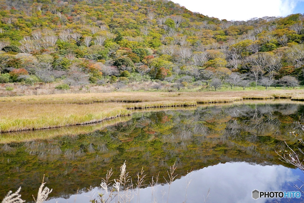 覚満淵の紅葉