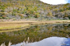 覚満淵の紅葉