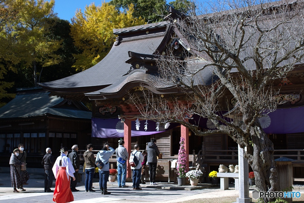 大洗磯前神社