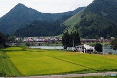 季節は秋へ