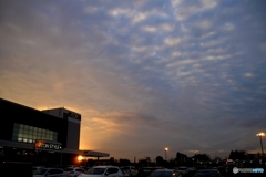 2020/11/06/夕焼け