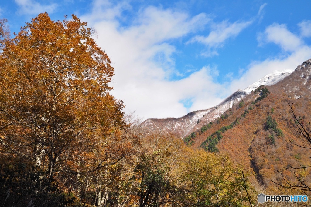 雪山と紅葉