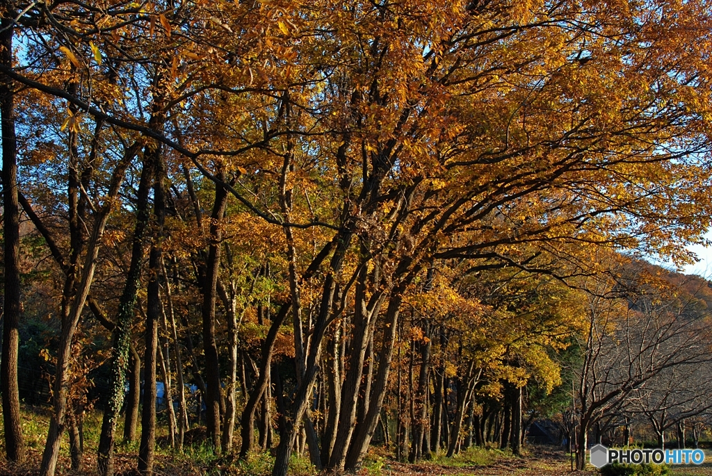 栃木市岩舟運動公園