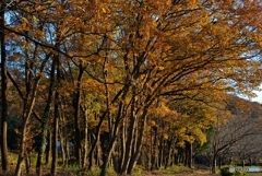 栃木市岩舟運動公園