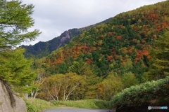 山王峠の秋②
