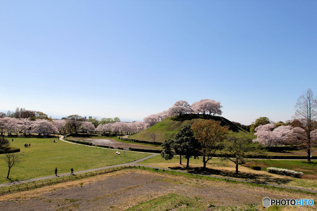 さきたま古墳公園