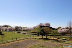 さきたま古墳公園